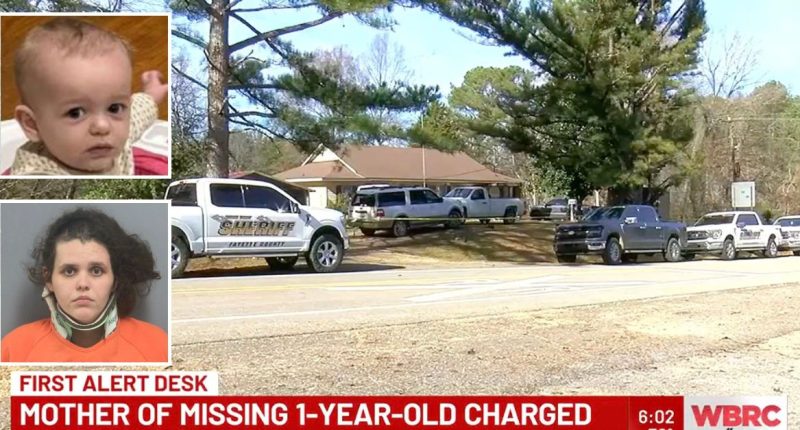 Remains of missing 1-year-old found in ‘burn pile’ at family’s home 5 months after dad and sibling killed in 90 mph car crash: Sheriff