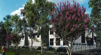 Reversing Planning Board’s Decision, Palm Coast Council Approves 100,000-Sq.-Ft. Storage Facility on Pine Lakes Pkwy
