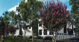 Reversing Planning Board’s Decision, Palm Coast Council Approves 100,000-Sq.-Ft. Storage Facility on Pine Lakes Pkwy
