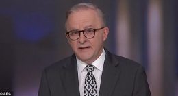 Prime Minister Anthony Albanese (pictured) pushed back on Max Chandler-Mather's claims that he was personally abusive towards the ex Greens MP, saying he 'needs a mirror'