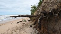 Sales Tax Proposal to Protect Flagler’s Beaches Takes Another Lashing as Commissioners Talk Referendum and Other Alternatives