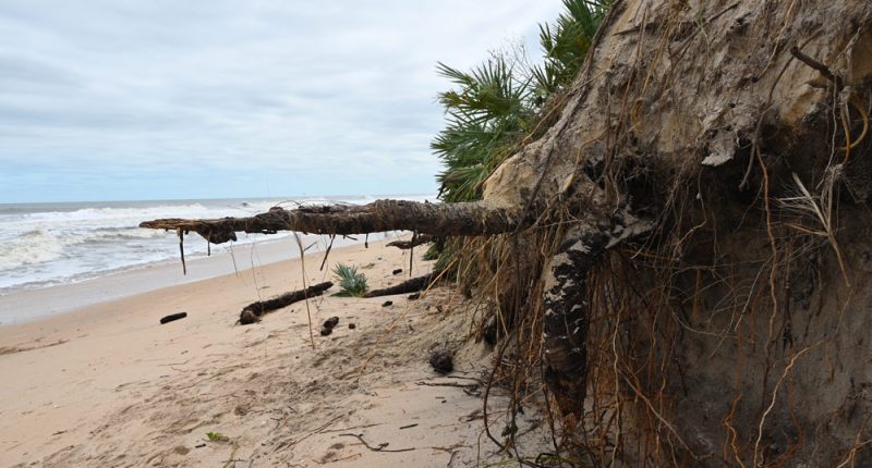 Sales Tax Proposal to Protect Flagler’s Beaches Takes Another Lashing as Commissioners Talk Referendum and Other Alternatives