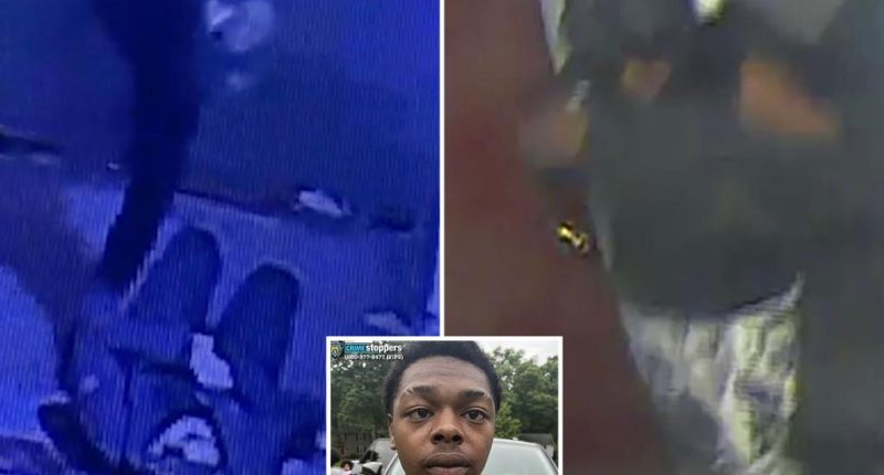 Second suspect identified in brutal off-duty cop beating in Bronx
