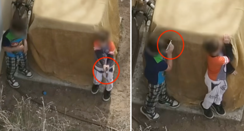 Shocking Video Shows Armed Boys, 7 And 9, In Standoff With New Mexico Deputies