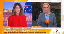 Sussan Ley confirms she will run for Liberal leader - as Nat Barr confronts her with an important 'woman' question