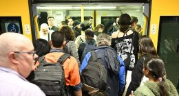 Commuters are being urged to 'avoid travel' on the Sydney train network as significant delays and cancellations continue to plague the network after a train became entangled with live wires