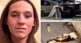 Teen charged in Tesla firebombing released from federal custody to continue gender-affirming medical care: report