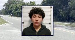 Teen executed Lyft driver who called his mother ‘sorry’: Sheriff