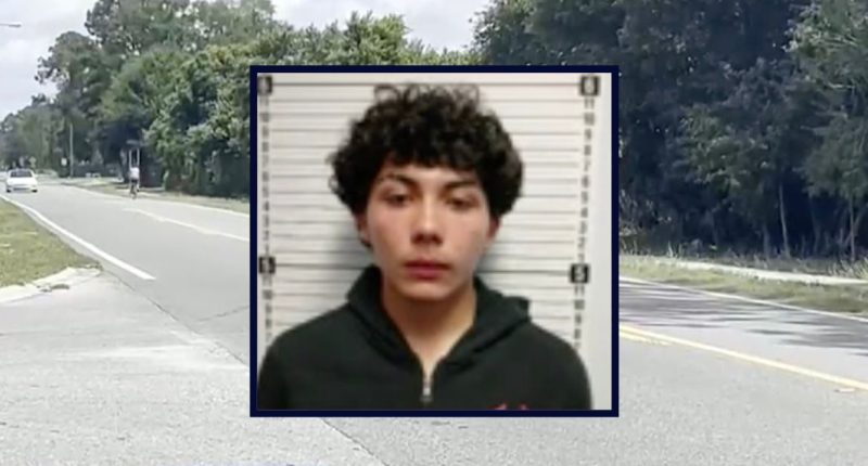 Teen executed Lyft driver who called his mother ‘sorry’: Sheriff