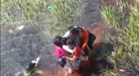 Three women, a child, and the pilot, 29, were rescued from the ordeal in 'excellent' condition