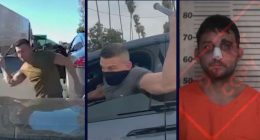 Tesla driver known for road rage attacks gets a taste of his own medicine after latest arrest, police say