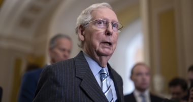 The Battle for Mitch McConnell’s Senate Seat Might Get More Interesting