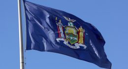The Meaning Of The New York State Flag Explained