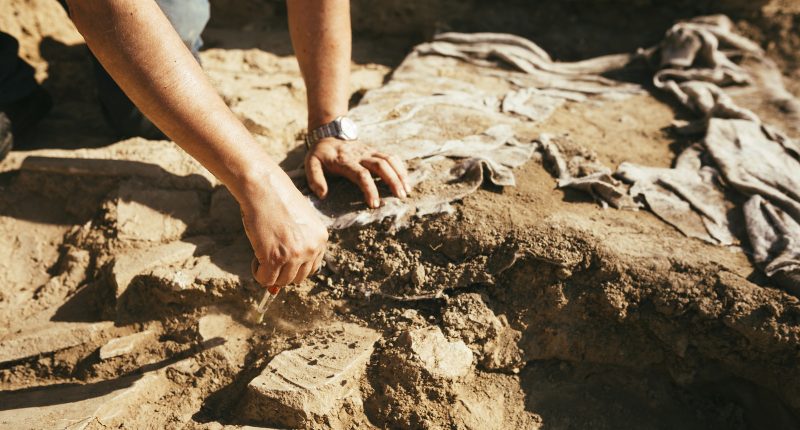 The Rare Artifact That Was The First Of Its Kind To Be Found In Scotland