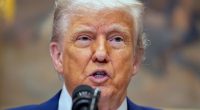The Return of the Ants: Trump, the Media, and the Left’s Never-Ending Nervous Breakdown
