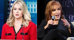 The Rumored Lawsuit Going On Between Karoline Leavitt And The View
