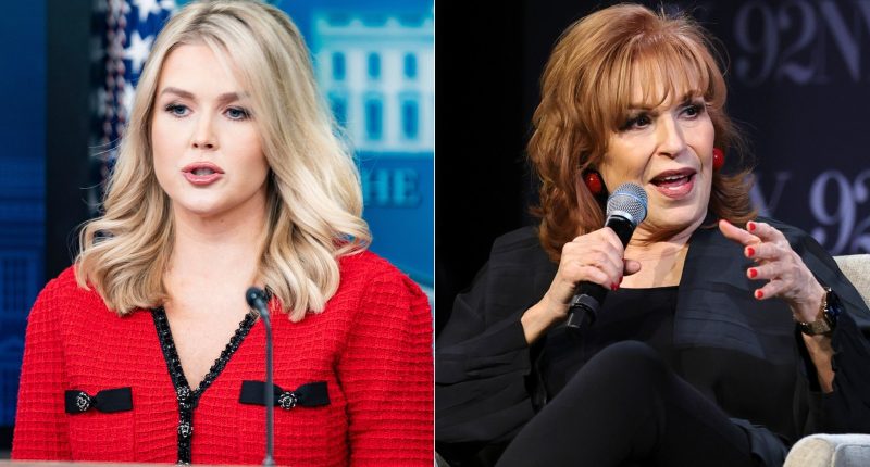 The Rumored Lawsuit Going On Between Karoline Leavitt And The View