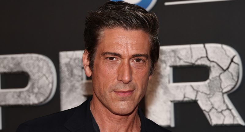 The Shady Side Of ABC's David Muir We Can't Ignore