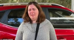 Erin Patterson was wearing a grey jumper similar to that pictured during her record of interview
