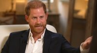Prince Harry chillingly insinuated his downgraded security status could leave him and his family to suffer the same fate as the late Princess Diana, who died in a fatal car crash in 1997