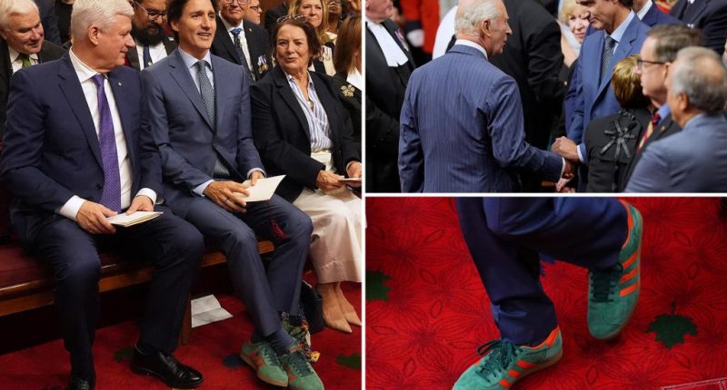 Trudeau turns heads with odd fashion choice at King Charles’ historic speech