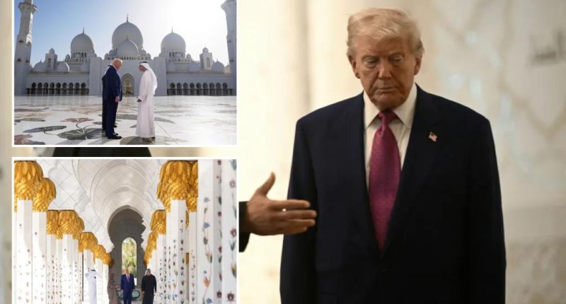 Trump hails ‘incredible culture’ of Islam in rare presidential mosque visit