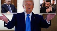 Trump hopes for ceasefire progress in Russia-Ukraine war in Monday calls with Putin and Zelensky