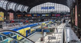 A woman has been arrested in Germany after twelve people were left injured following a knife attack at Hamburg Central Station (file image)