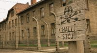 WWII Details Too Horrific For History Class