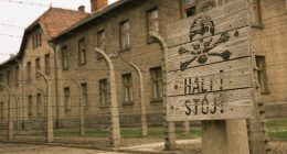 WWII Details Too Horrific For History Class
