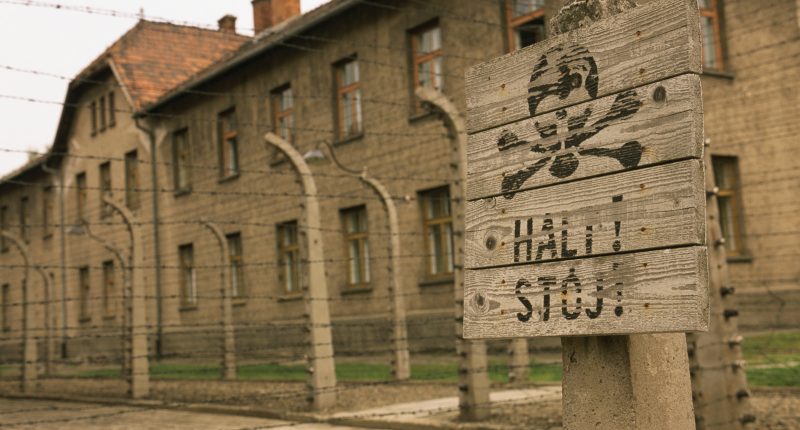 WWII Details Too Horrific For History Class