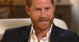 Prince Harry revealed King Charles 'won't speak to me' - and indicated the monarch had the 'control and ability' to help 'resolve' a row over his security arrangements