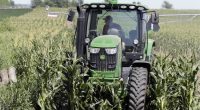 What the Fake News Won't Tell You: Farmers Are Optimistic About the Economy