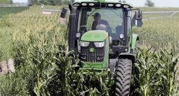 What the Fake News Won't Tell You: Farmers Are Optimistic About the Economy