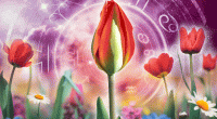 What’s in the stars for June 2025? Summer solstice is upon us — and good luck is changing signs