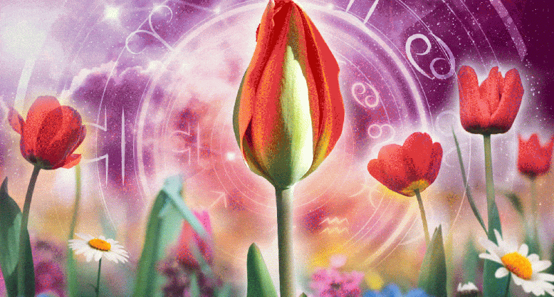 What’s in the stars for June 2025? Summer solstice is upon us — and good luck is changing signs