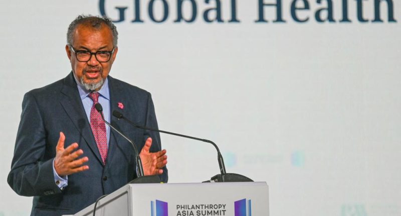 Why the WHO could control the world during an outbreak of ‘Disease X’