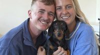 A world-famous and vagrant miniature dachshund was returned to her owners on Wednesday