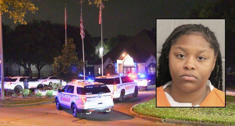 Woman killed her boyfriend when he came back to their apartment to ‘get his belongings’: Police