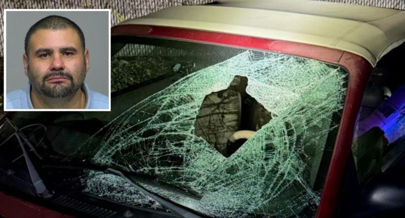 Woman ‘jumped’ from moving car after driver ‘cracked open’ 90-year-old pedestrian’s head in fatal hit-and-run: Police