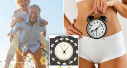 ‘Body clock’ could determine biological age and longevity, researchers say