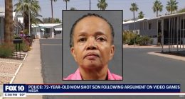‘Boom, boom, boom’: 72-year-old woman shoots noisy son over video game racket, police say