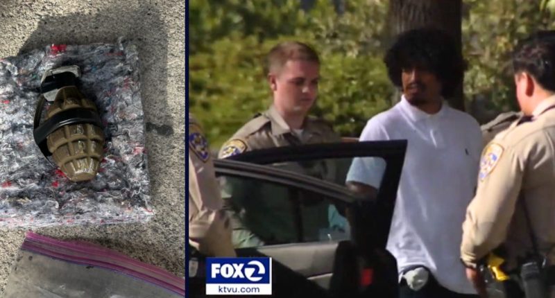 ‘Capable of detonating’: Man allegedly hurls live grenade ‘with safety pin partially removed’ as he flees cops in stolen car