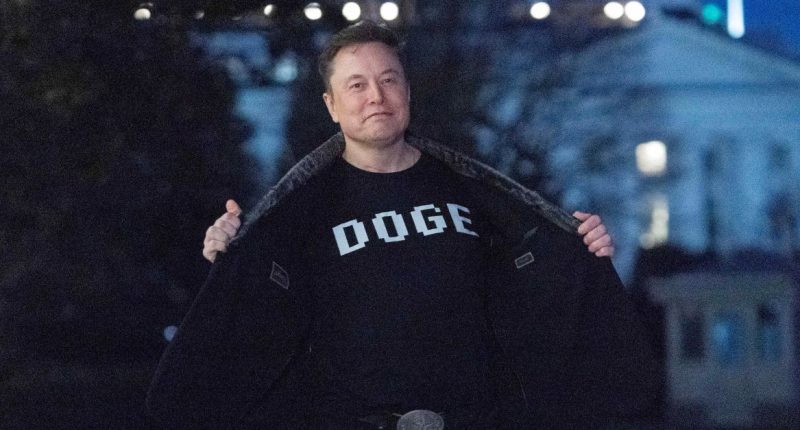‘Concerted effort to disrupt and destroy’: Humanities organizations sue DOGE after it ‘gutted’ congressionally approved budget