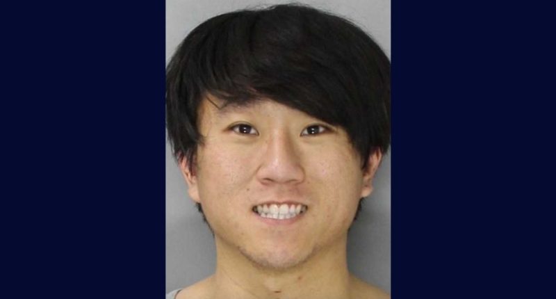 ‘Dressing up a skeleton’: Man killed mom then drove to sister’s house with her corpse covered in McDonald’s wrappers and ‘household goods,’ cops say
