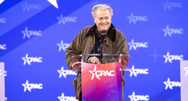 ‘Especially perplexing’: Appeals court rejects Steve Bannon’s bid to reconsider contempt of Congress conviction, Trump-appointed judge strongly dissents