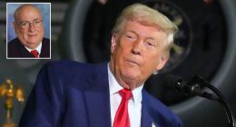 ‘Fomenting a constitutional crisis’: Reagan-appointed judge slams allegations that judiciary is ‘usurping’ President Trump’s powers
