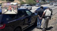 ‘Game Over’: Cops stop motorist for alleged ‘Mario Kart style driving,’ speeding and weaving on highway