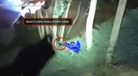 ‘I didn’t see a kid’: Dad shot by officers while holding infant daughter and a phone cops thought was a weapon is headed to prison