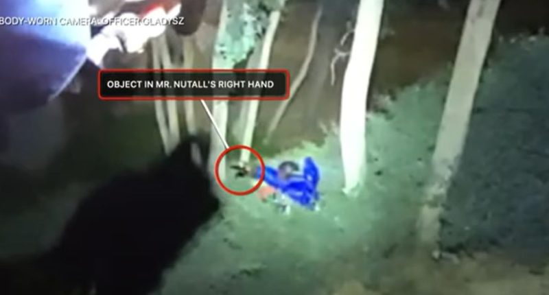 ‘I didn’t see a kid’: Dad shot by officers while holding infant daughter and a phone cops thought was a weapon is headed to prison